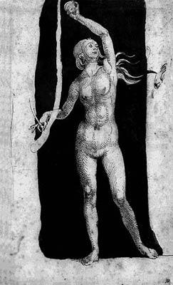 Фигура Евы Рисунок пером и кистью 1506 г Вена Альбертина - фото 4