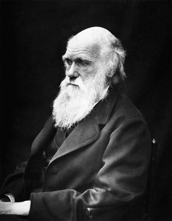 Чарлз Дарвин отец эволюции Несмотря на то что дарвиновская теория эволюции - фото 1