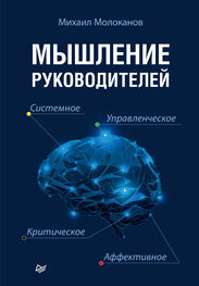 Михаил Молоканов: Мышление руководителей: системное, управленческое, критическое, аффективное