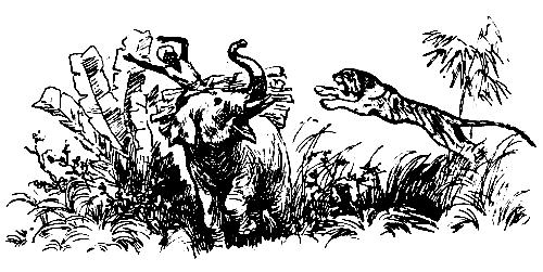 КАК СЛОН СПАС ХОЗЯИНА ОТ ТИГРА У индусов есть ручные слоны Один индус пошёл - фото 6