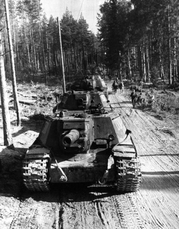 Колонна СУ152 на марше Карельский перешеек июль 1944 года ТЯЖЕЛЫЕ САУ - фото 2