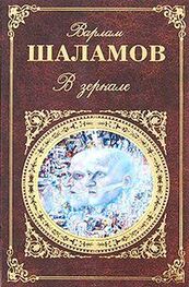 Варлам Шаламов: В зеркале (сборник)