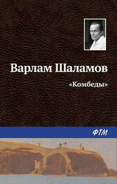 Варлам Шаламов: «Комбеды»