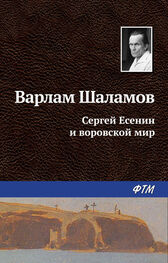 Варлам Шаламов: Сергей Есенин и воровской мир