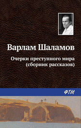 Варлам Шаламов: Очерки преступного мира (сборник)