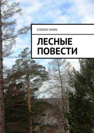 Evgenii Shan: Лесные повести