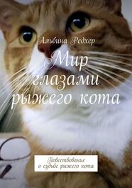 Альбина Редхер: Мир глазами рыжего кота. Повествование о судьбе рыжего кота