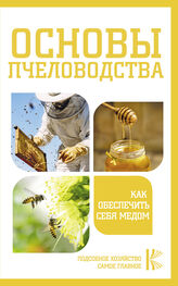 Н. Медведева: Основы пчеловодства. Как обеспечить себя медом