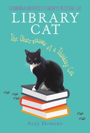 Alex Howard: Library Cat