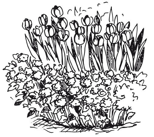 Рисунок 2 Двухуровневая клумба Низкорослые растения высаживают спереди или по - фото 2