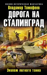 Владимир Тимофеев: Дорога на Сталинград. Экипаж легкого танка