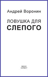 Андрей Воронин: Слепой. Ловушка для слепого