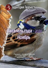 Валентина Спирина: Писатель года – 2020. Ноябрь. Первая литературная онлайн-премия по версии группы «Территория Творчества»