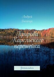 Андрей Богачук: Природа Карельского перешейка. Фотоальбом