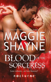 Maggie Shayne: Blood of the Sorceress