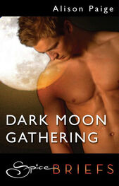 Alison Paige: Dark Moon Gathering