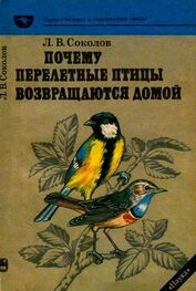 Леонид Соколов: Почему перелетные птицы возвращаются домой