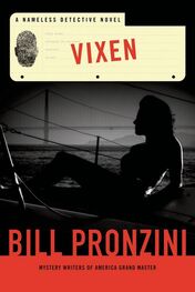 Bill Pronzini: Vixen