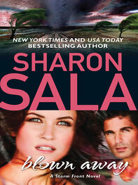 Sharon Sala: Blown Away
