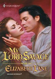 Elizabeth Lane: My Lord Savage