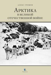 Алекс Бертран Громов: Арктика в Великой Отечественной Войне