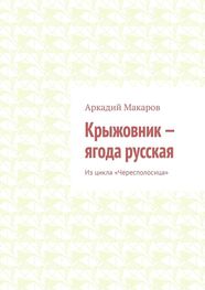Аркадий Макаров: Крыжовник – ягода русская. Из цикла «Чересполосица»