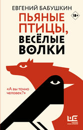 Евгений Бабушкин: Пьяные птицы, веселые волки