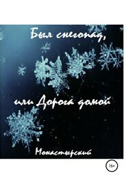 Михаил Монастырский: Был снегопад, или Дорога домой