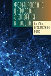 Коллектив авторов: Формирование цифровой экономики в России: вызовы, перспективы, риски