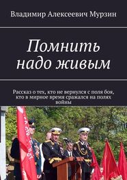 Владимир Мурзин: Помнить надо живым. Рассказ о тех, кто не вернулся с поля боя, кто в мирное время сражался на полях войны