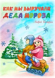 Андрей Богдарин: Как мы выручали Деда Мороза