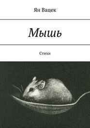 Ян Вацек: Мышь. Стихи