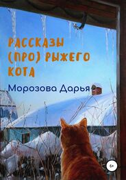 Дарья Морозова: Рассказы (про) рыжего кота