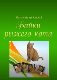Валентина Салий: Байки рыжего кота. Стихи