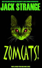 Jack Strange: Zomcats!