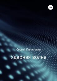 Сергей Пилипенко: Ударная волна