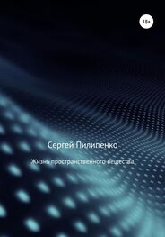 Сергей Пилипенко: Жизнь пространственного вещества