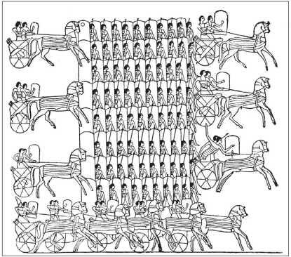 Боевые колесницы в боевом порядке египетского войска Решающим шагом стало - фото 4
