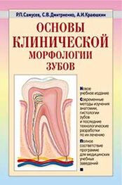 Сергей Дмитриенко: Основы клинической морфологии зубов: учебное пособие
