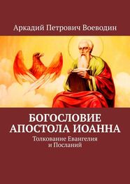 Аркадий Воеводин: Богословие Апостола Иоанна. Толкование Евангелия и Посланий