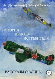 Алексей Леонтьев(Поправкин): История пилота истребителя. Рассказы о войне