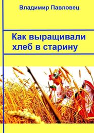 Владимир Павловец: Как выращивали хлеб в старину