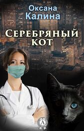 Оксана Калина: Серебряный кот