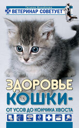Татьяна Михайлова: Здоровье кошки от усов до кончика хвоста