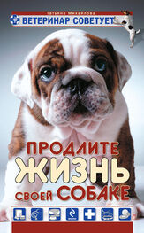 Татьяна Михайлова: Ветеринар советует. Продлите жизнь своей собаке