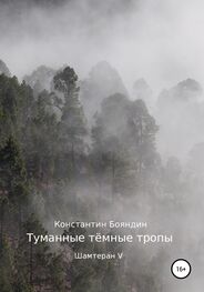 Константин Бояндин: Туманные тёмные тропы
