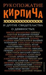 Array Сборник: Рукопожатие Кирпича и другие свидетельства о девяностых