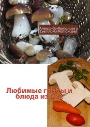 Светлана Матанцева: Любимые грибы и блюда из них