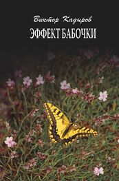 Виктор Кадыров: Эффект бабочки
