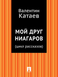 Валентин Катаев: Мой друг Ниагаров (цикл рассказов)